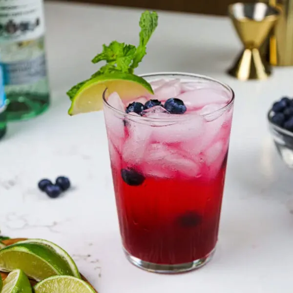 Blueberry Mojito